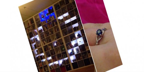 «Snake»-spillet i bokhylla skjulte en hemmelighet