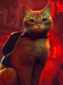 Forsidebilde for anmeldelse