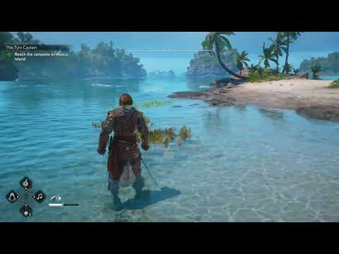 Assassin's Creed Black Flag: Resynced